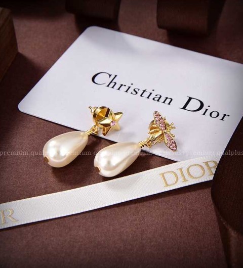 디올 벌 스타 귀걸이