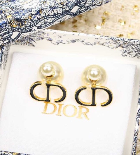 디올 피티드 CD 귀걸이