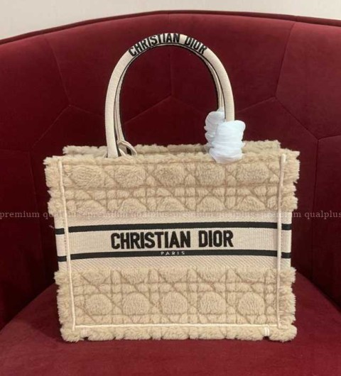 디올 북토트백 스몰