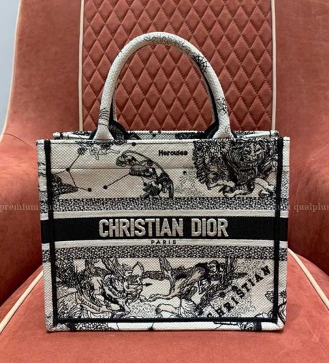 디올 북토트백 스몰