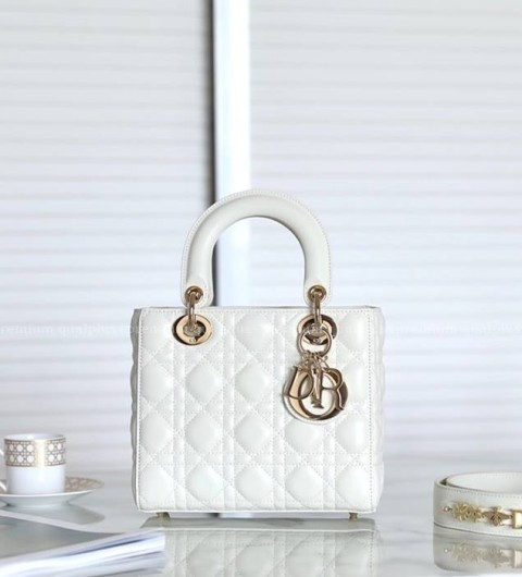 디올 LADY D*OR 레이디백 스몰