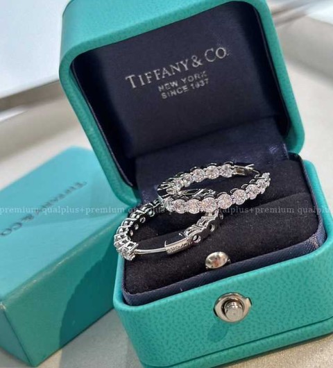 티파니앤코 포에버 이어링 귀걸이