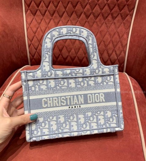 디올 북토트백 미니