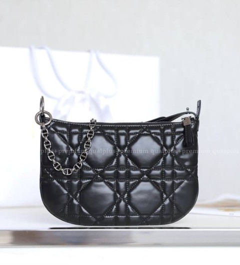 디올 트래블 노마드 파우치