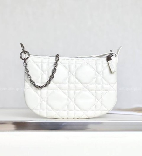 디올 트래블 노마드 파우치