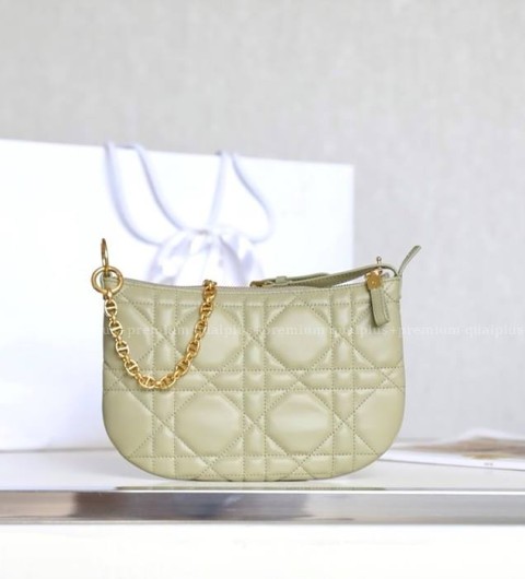 디올 트래블 노마드 파우치