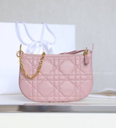 디올 트래블 노마드 파우치