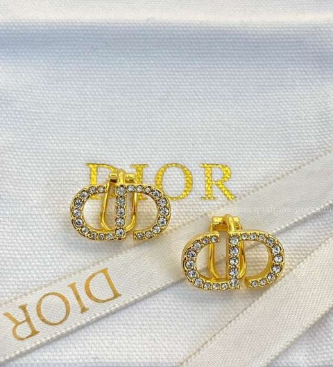 디올 CD 로고 귀걸이