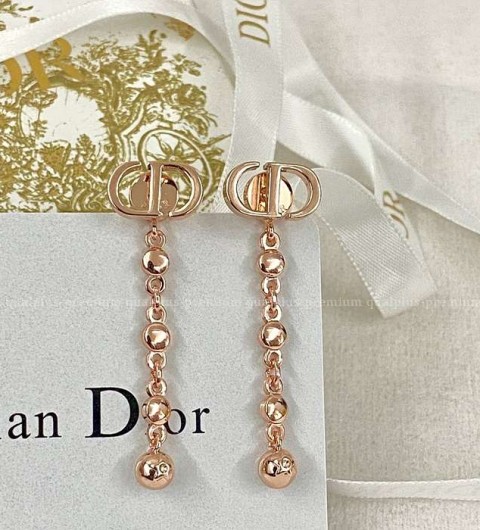 디올 태슬 로고 귀걸이