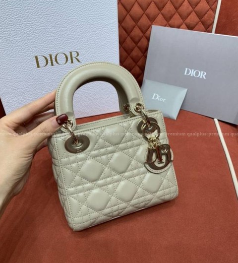 디올 레이디백 미니