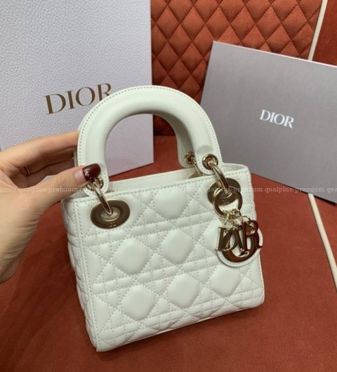 디올 레이디백 미니