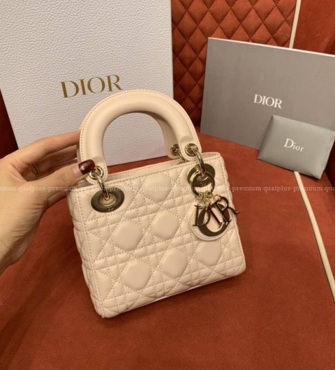 디올 레이디백 미니