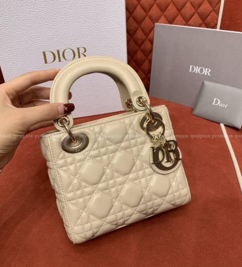 디올 레이디백 미니