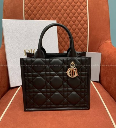 디올 북토트백 스몰