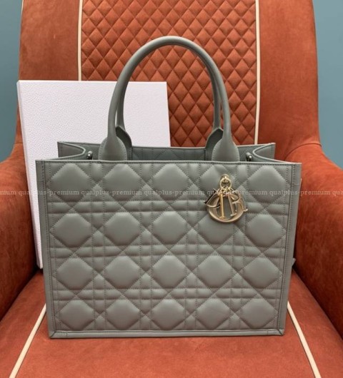 디올 북토트백 미듐