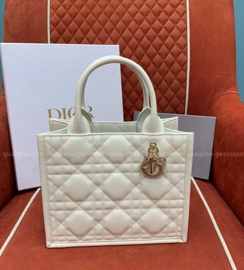 디올 북토트백 스몰
