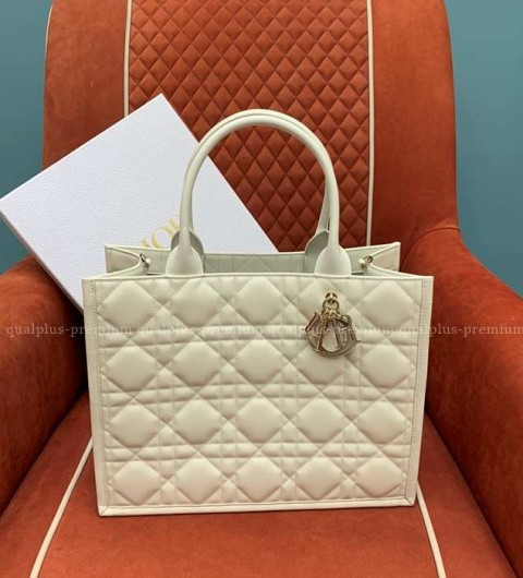 디올 북토트백 미듐