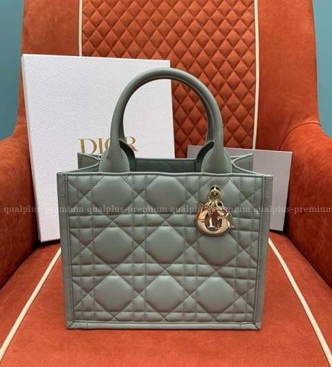 디올 북토트백 스몰