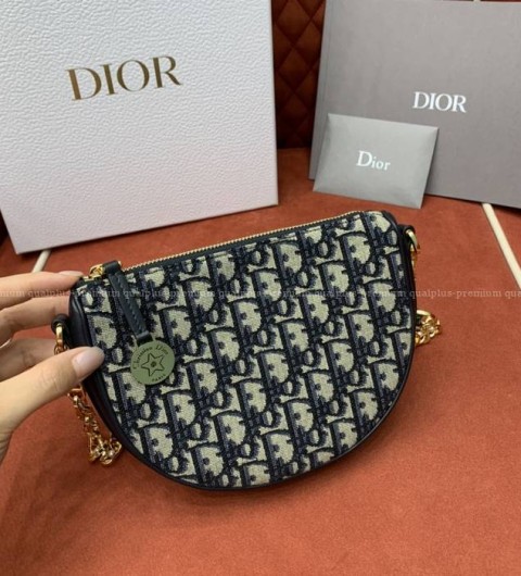 디올 스타 칼리스토 숄더백