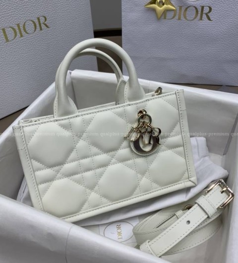 디올 북토트백 미니