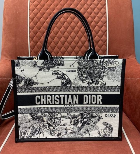 디올 북토트백 미듐