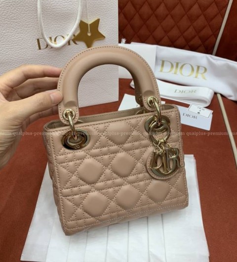 디올 레이디백 미니