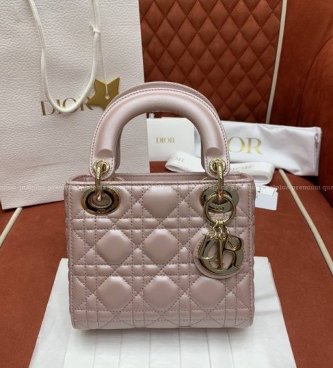 디올 레이디백 미니