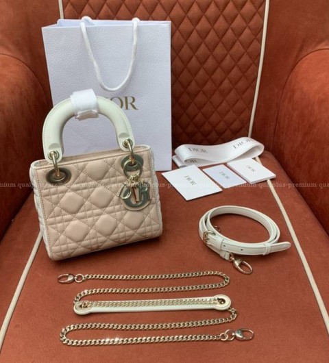 디올 레이디백 미니